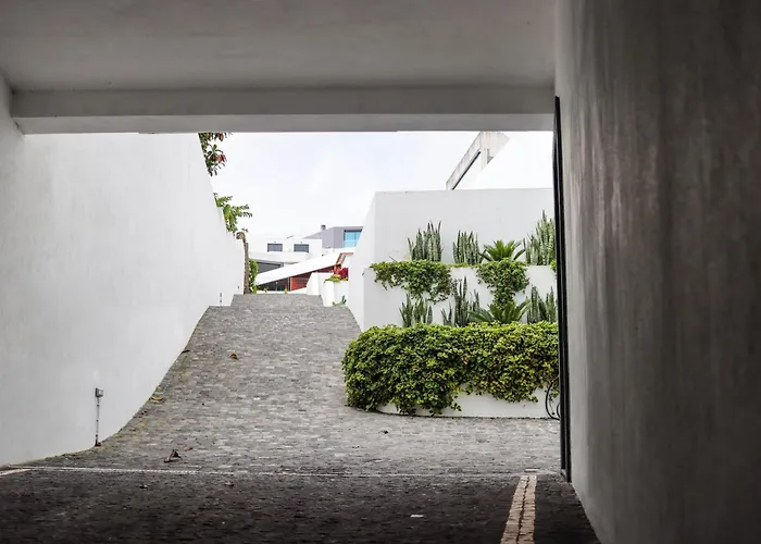 Sao Miguel Charming House By Lfc Apts